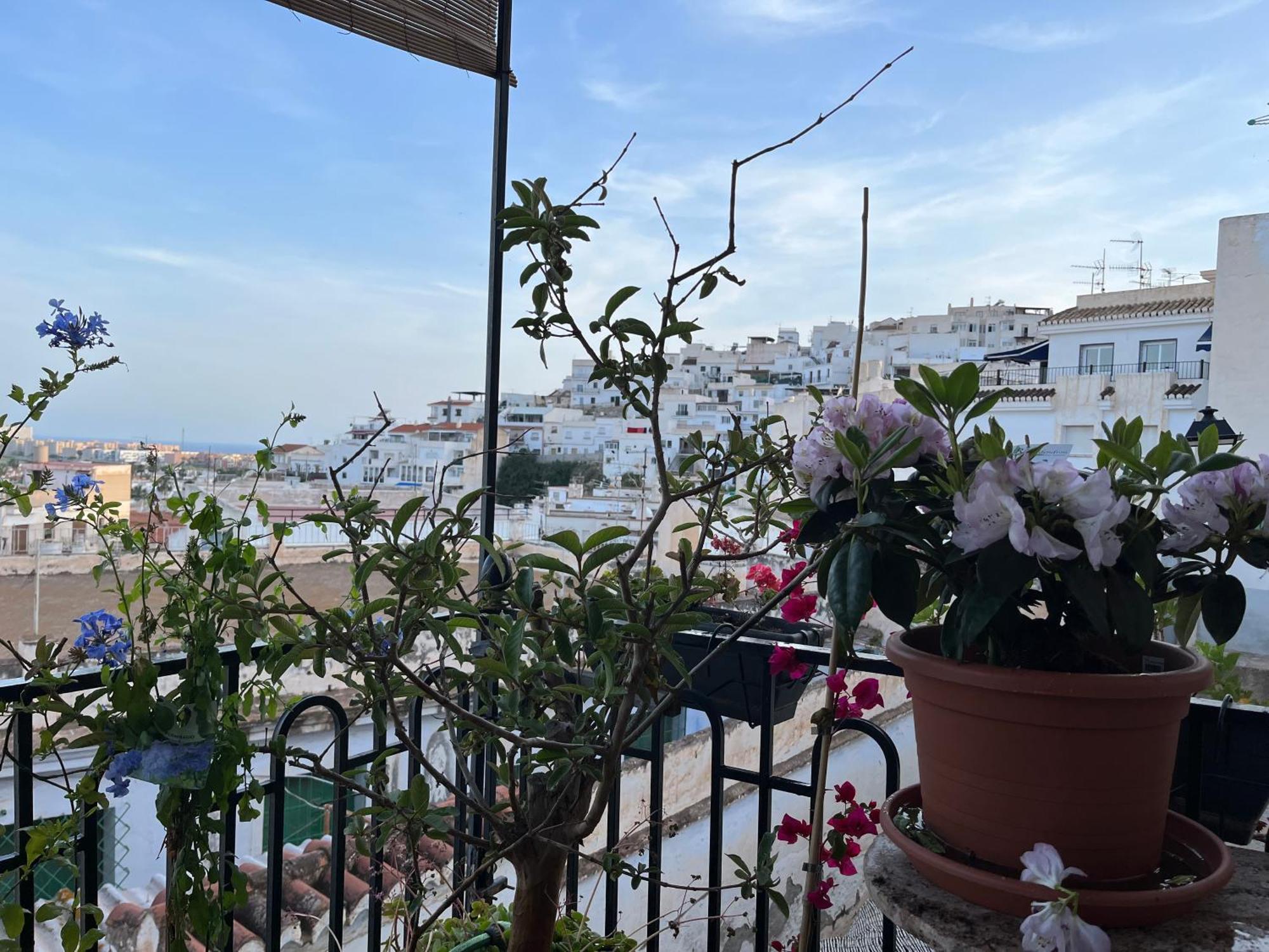 Amazing Sea And Mountain View! Casita Pinata Διαμέρισμα Salobreña Εξωτερικό φωτογραφία